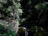 Mt Tamalpais SP 11